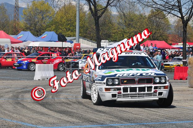 DSC_7556.jpg